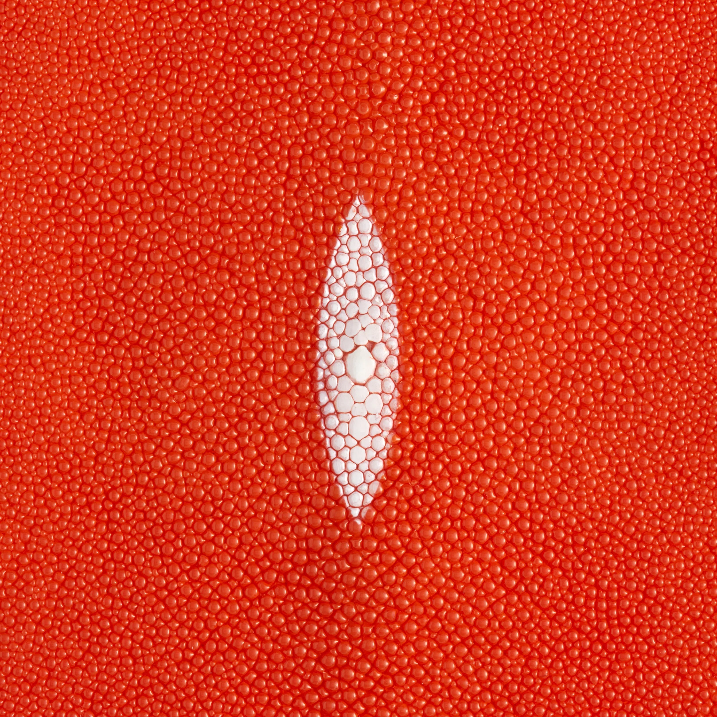 Stingray Small Skin - Image 15