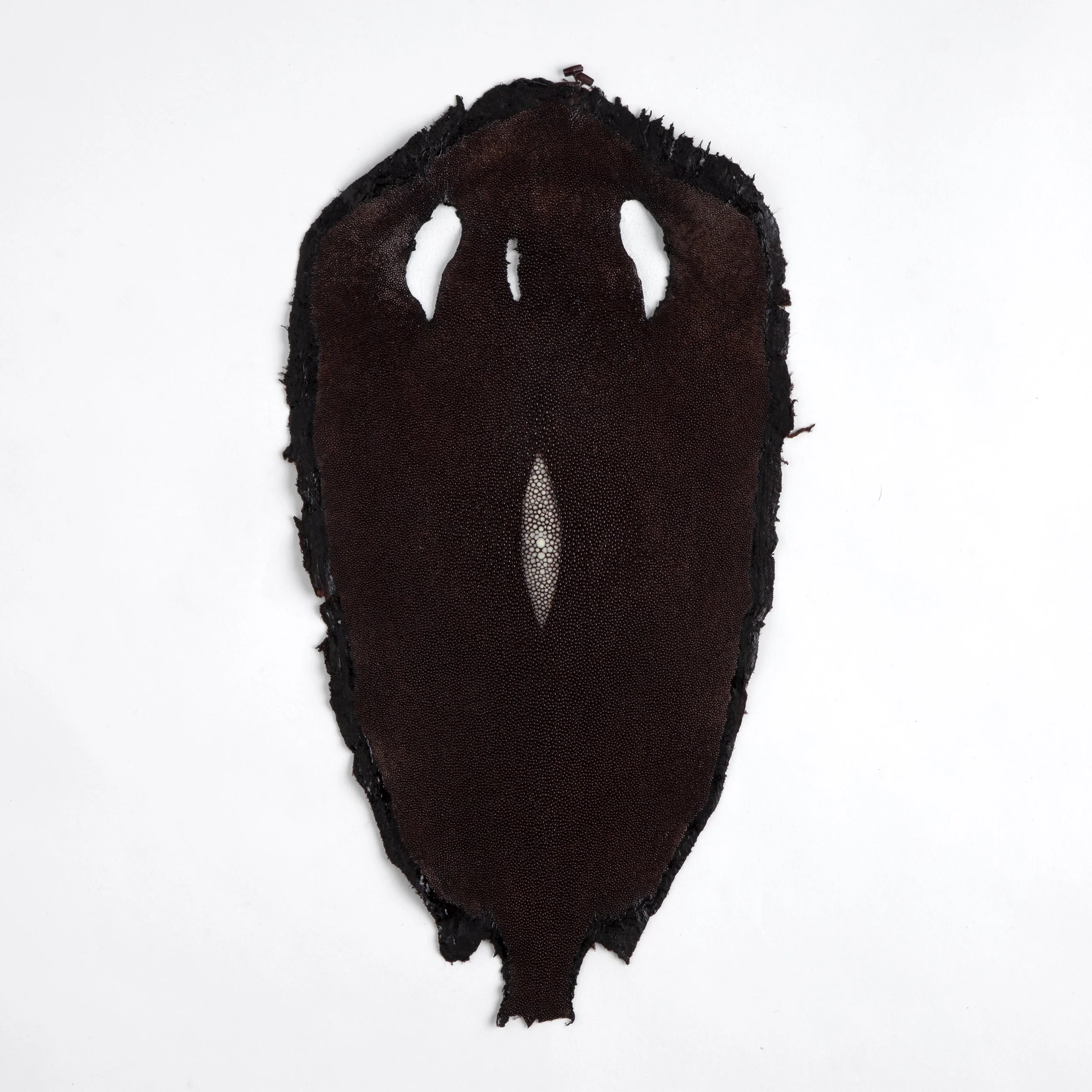 Stingray Small Skin - Image 16