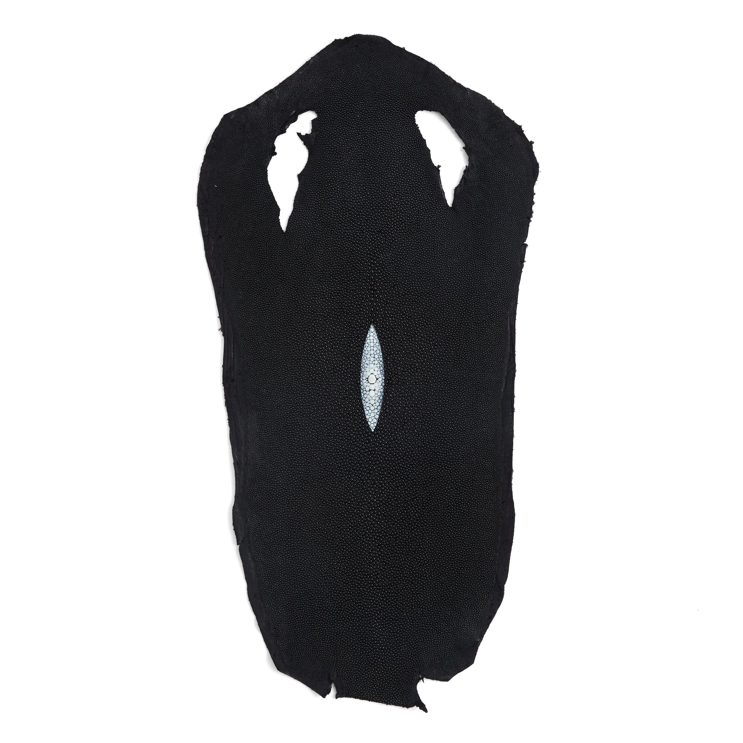 Stingray Small Skin - Image 4