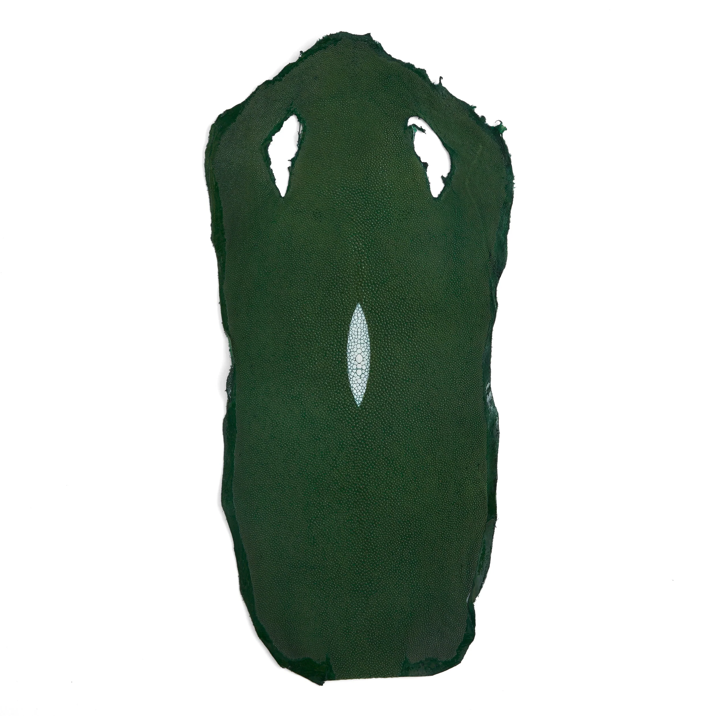 Stingray Small Skin - Image 6
