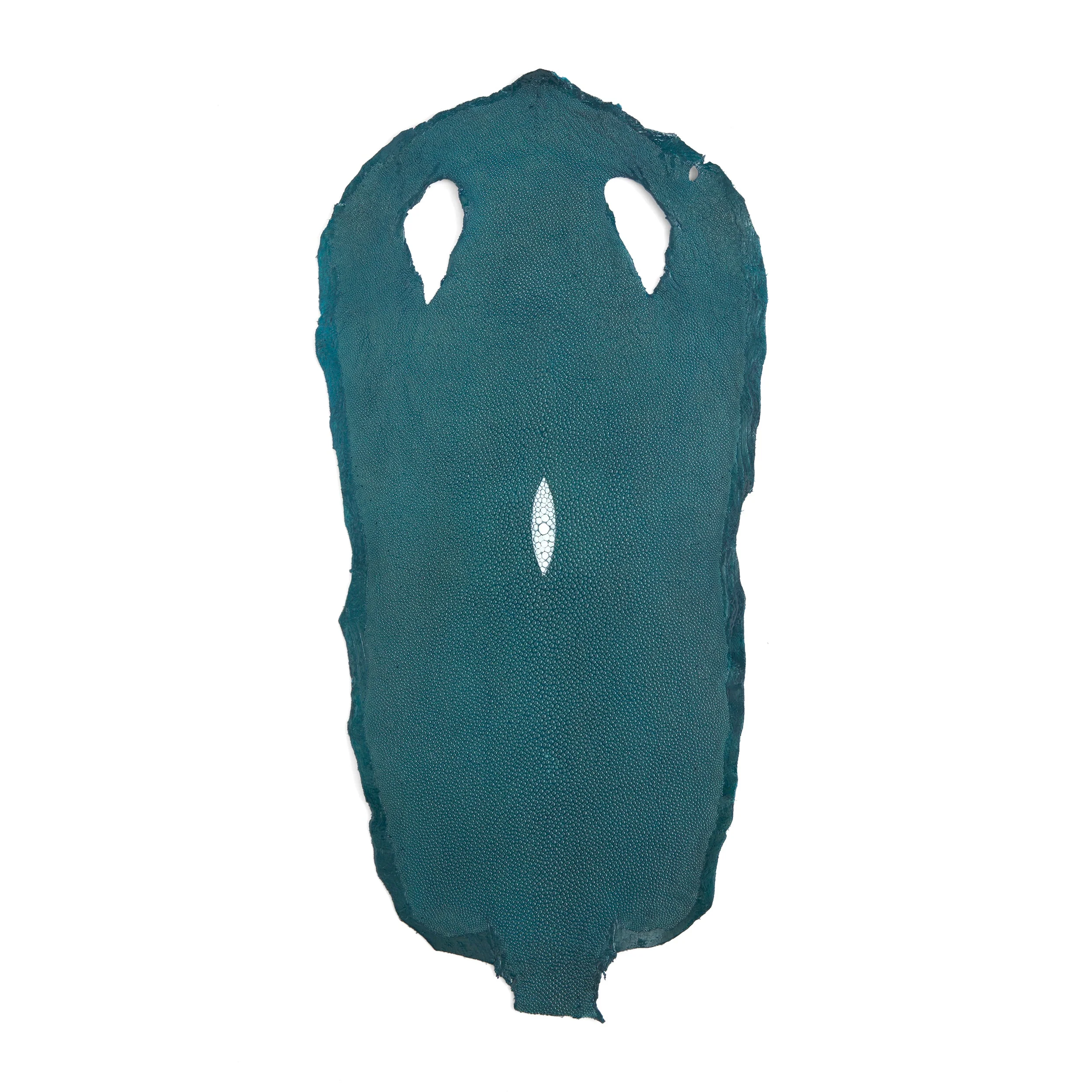 Stingray Small Skin - Image 8