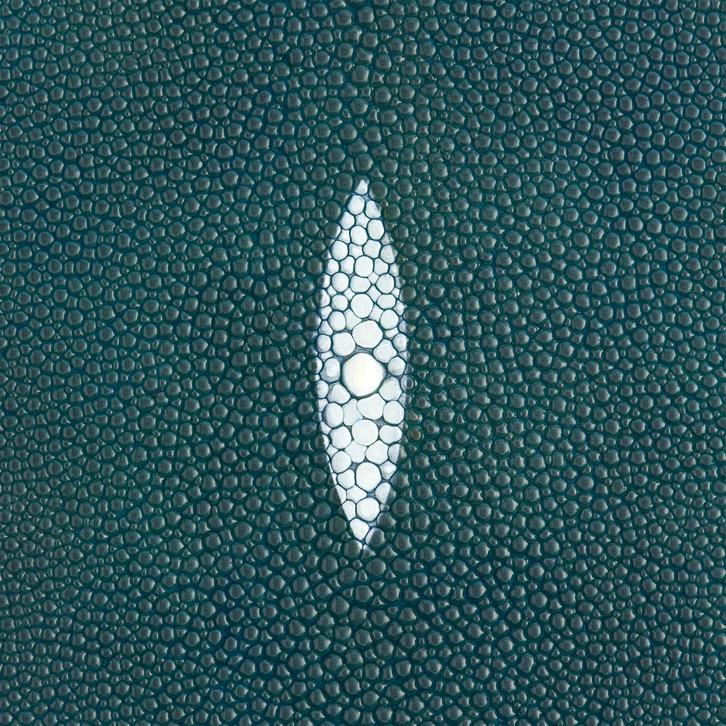 Stingray Small Skin - Image 9