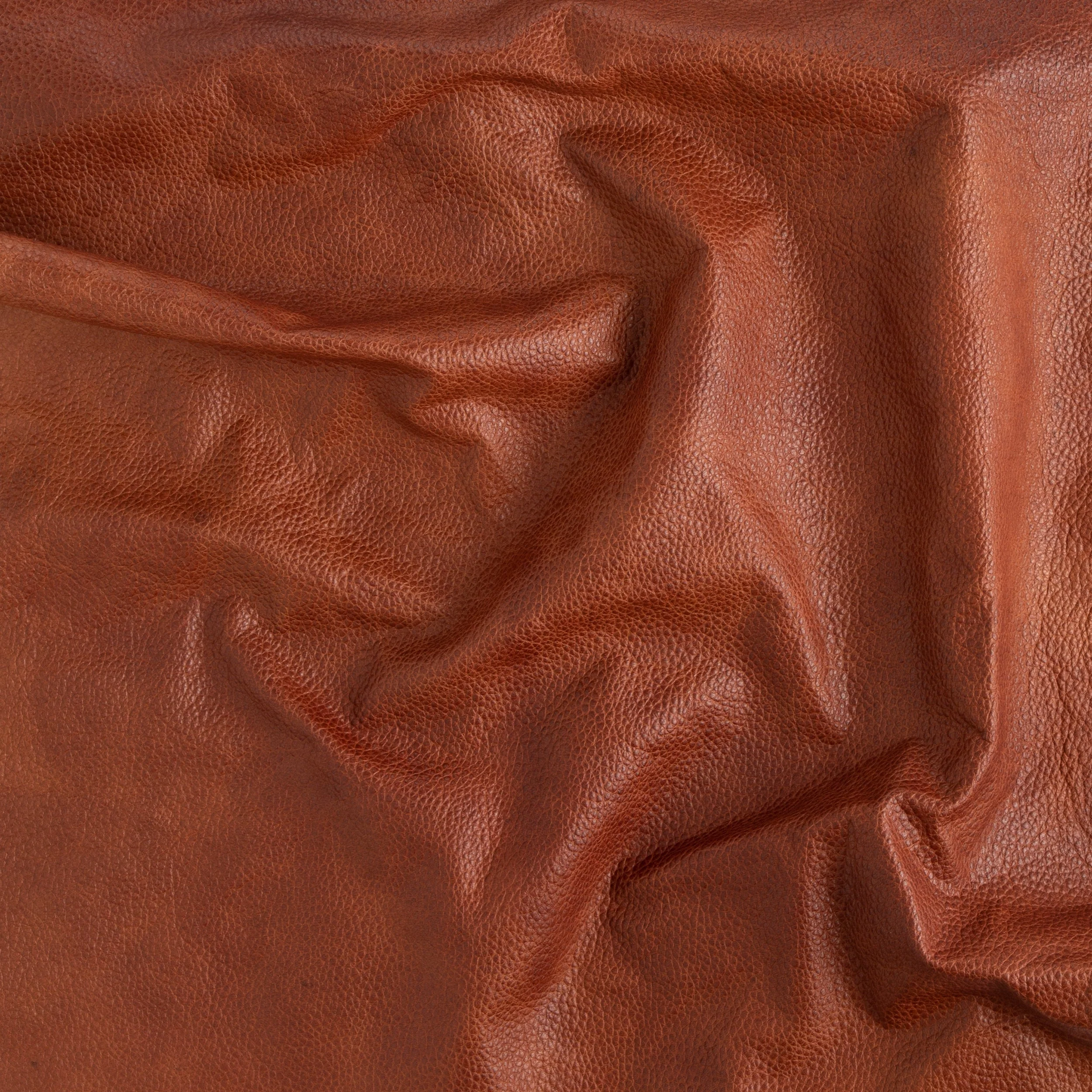 Topeka Small Skin - Image 3