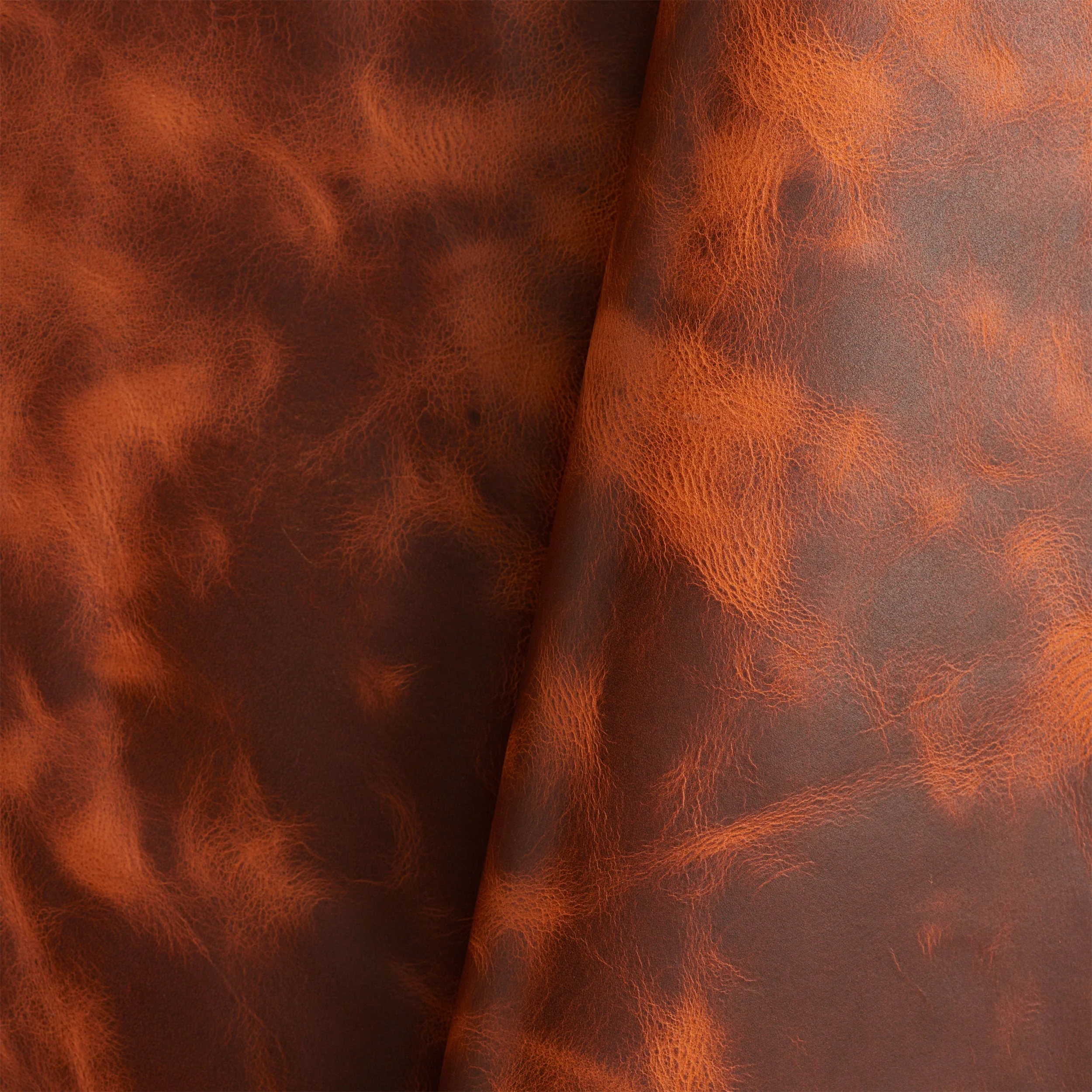 Vaquero Side - Image 14