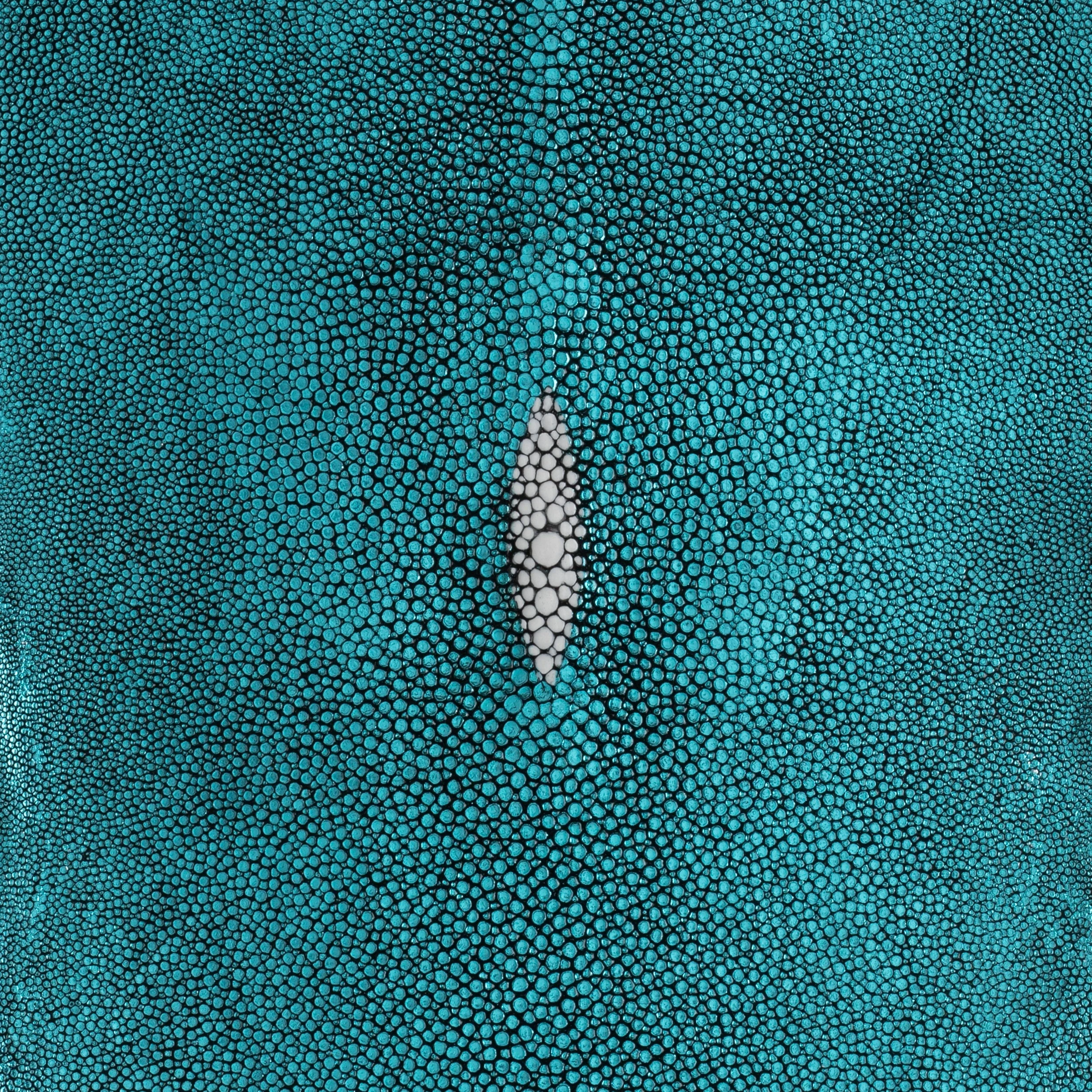 Metallic Stingray Skin - Image 10