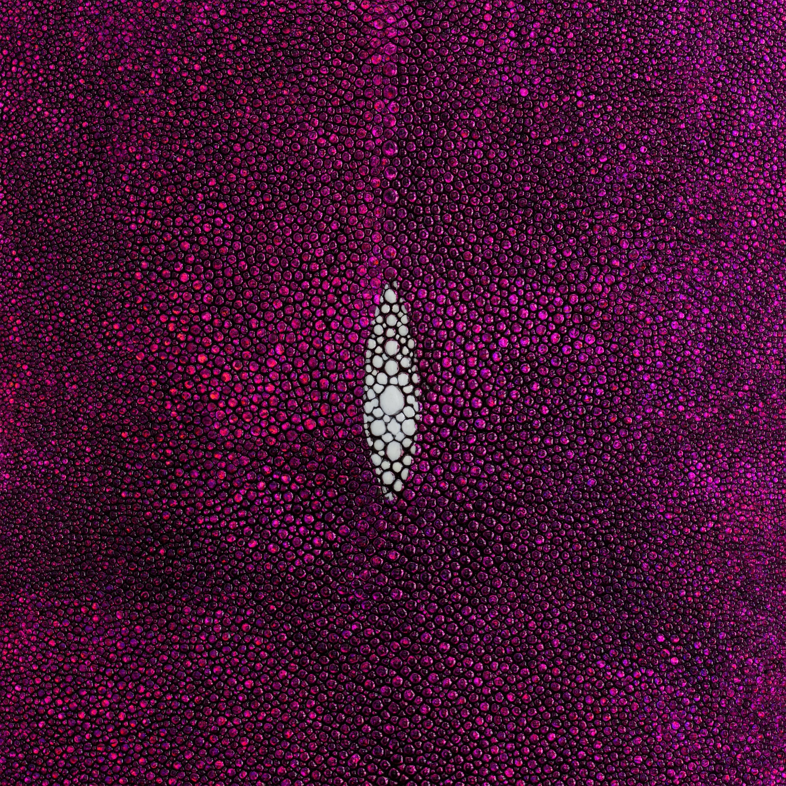 Metallic Stingray Skin - Image 12
