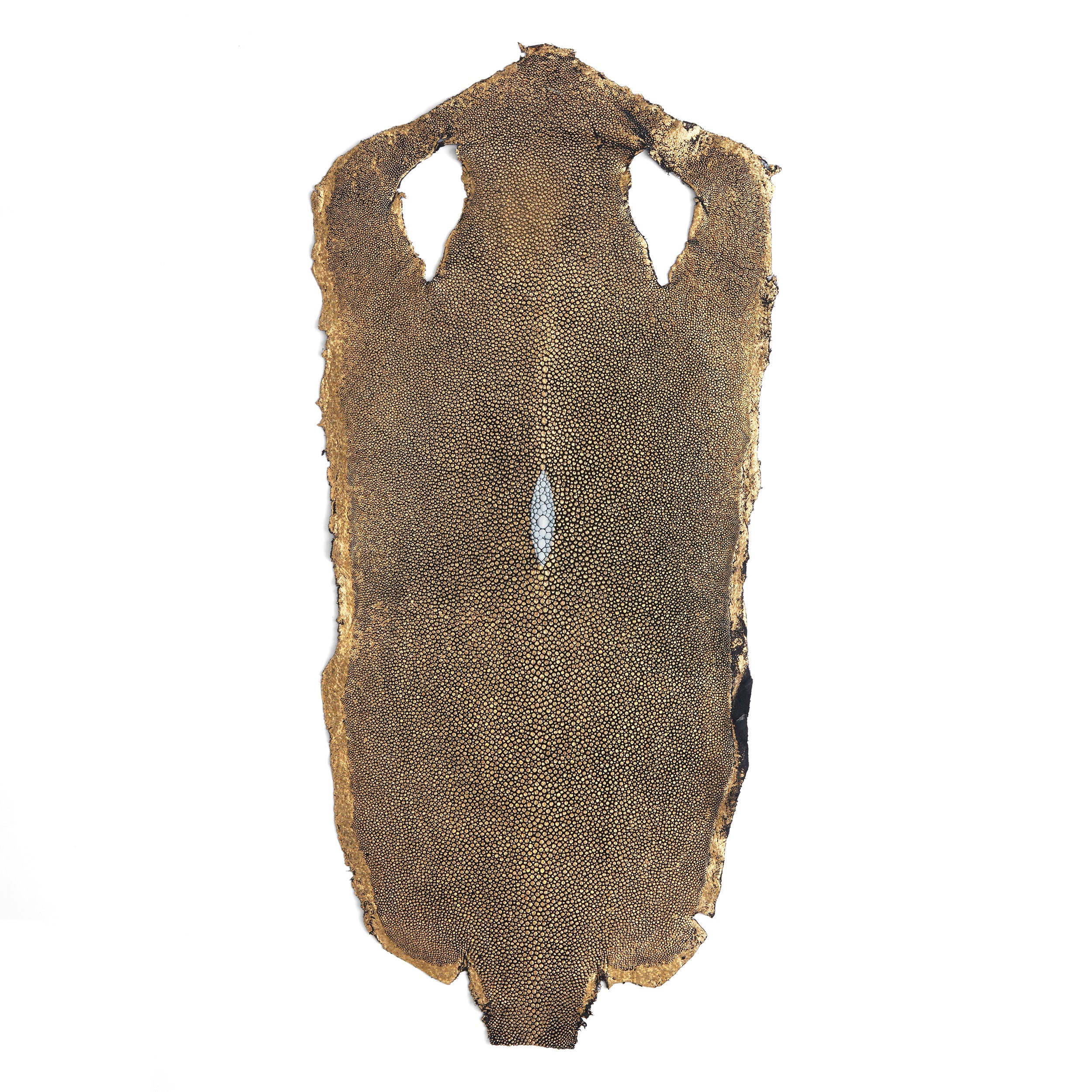Metallic Stingray Skin - Image 3