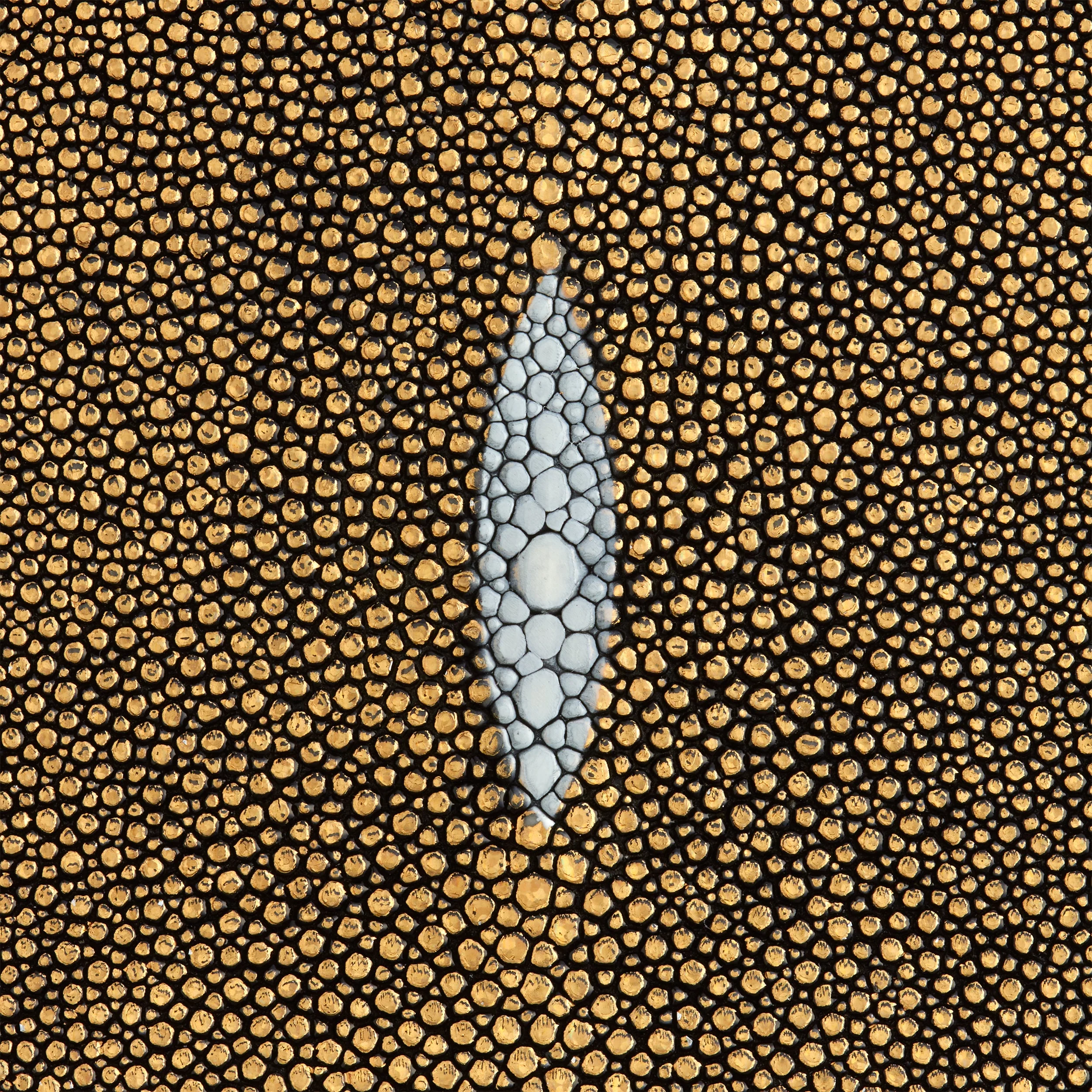 Metallic Stingray Skin - Image 4