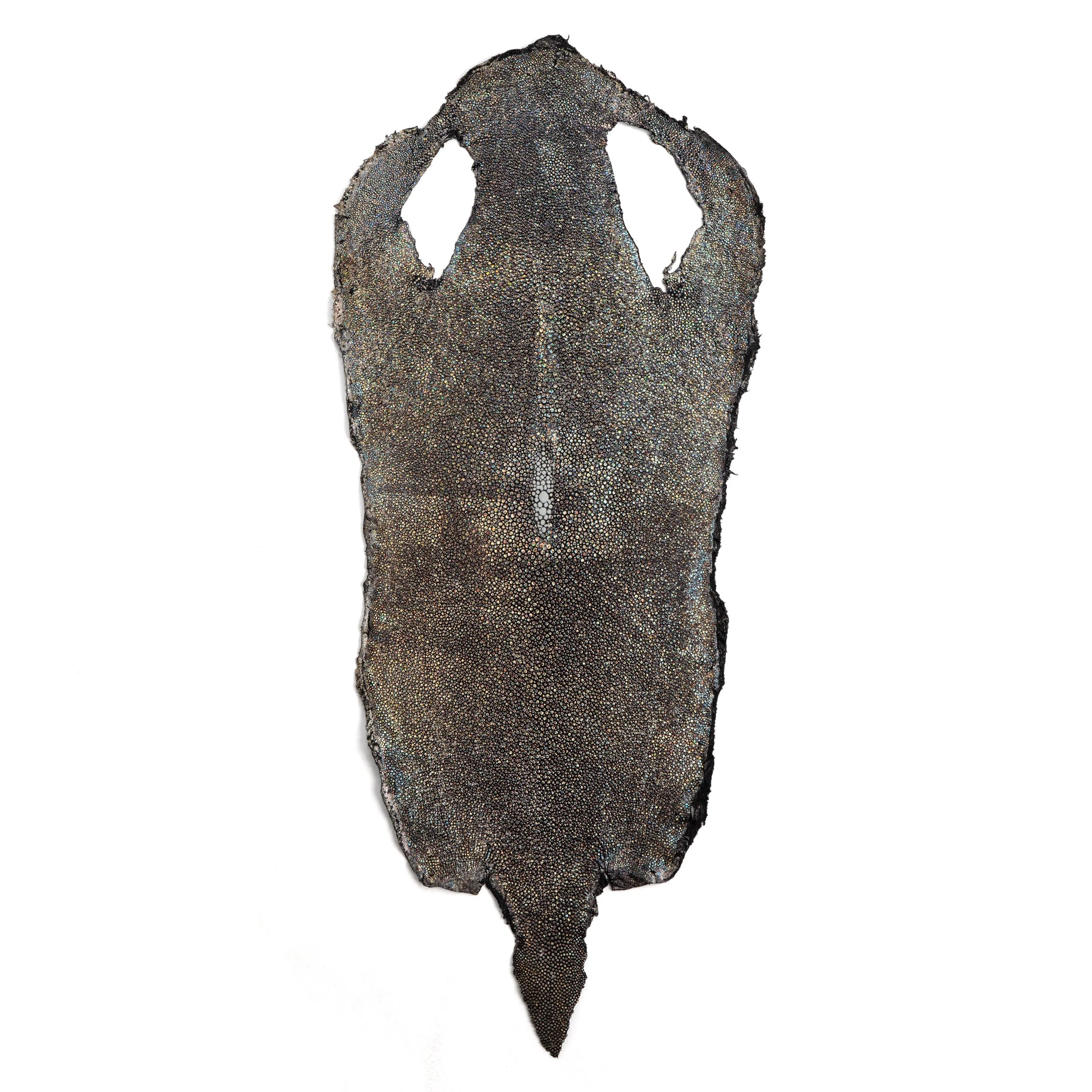 Metallic Stingray Skin - Image 5