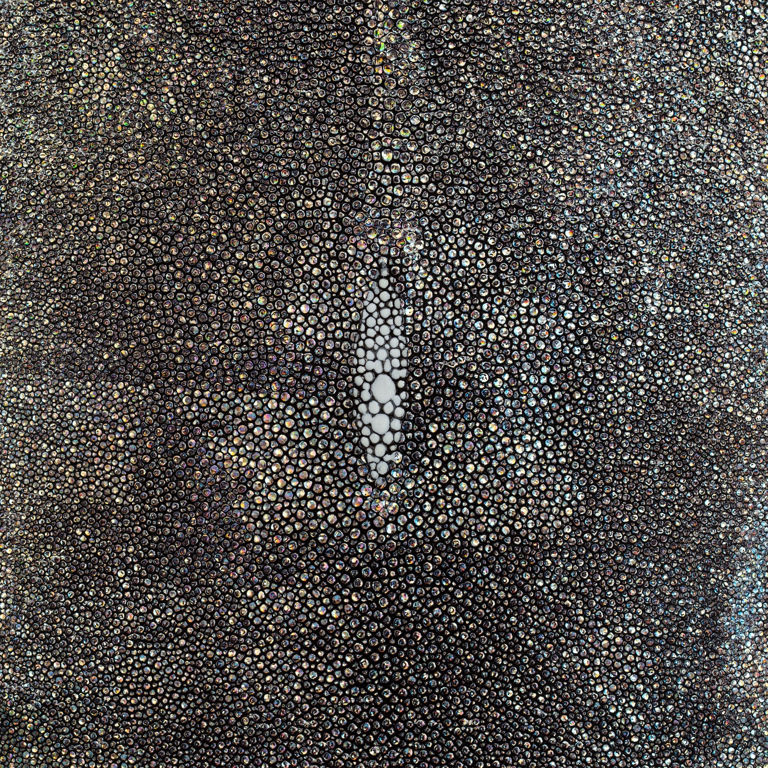 Metallic Stingray Skin - Image 6