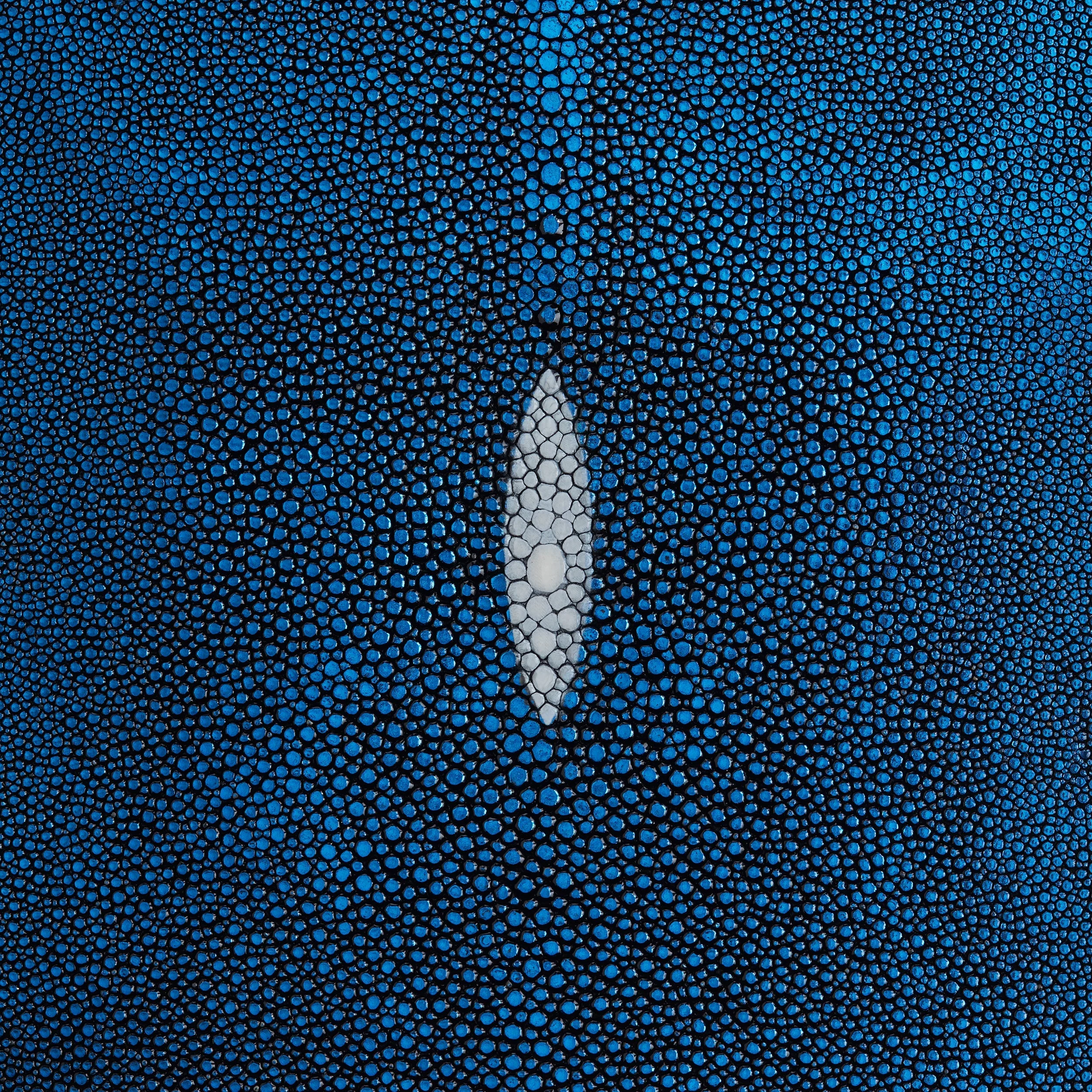 Metallic Stingray Skin - Image 8